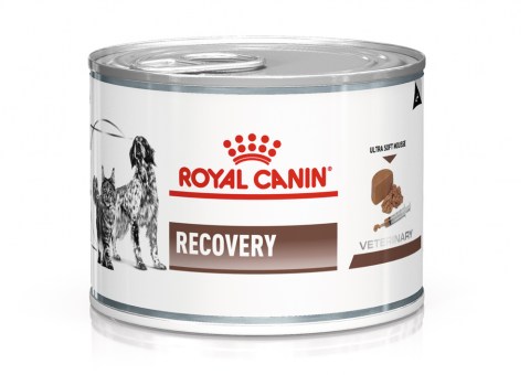 Royal Canin Recovery