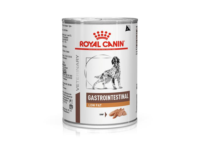 Royal Canin Gastrointestinal Low Fat Dog
